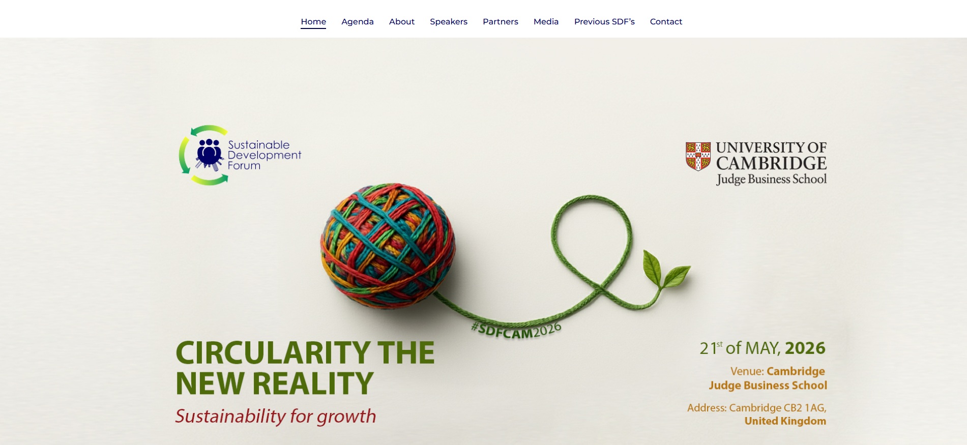 Sustainable Development Forum website preview